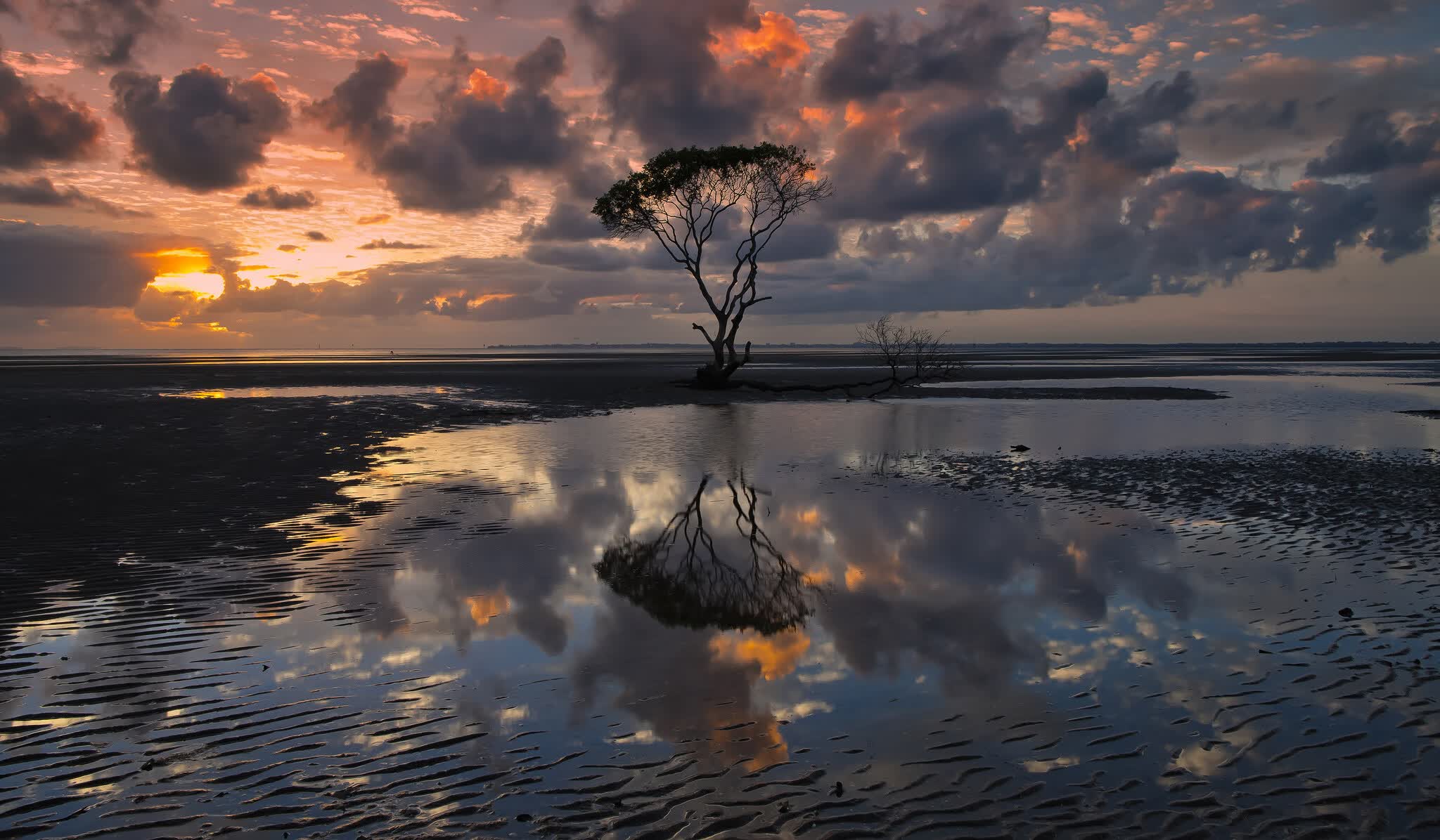 世界拳击青少年训练营医疗保障体系第三方复核结果公开,世界青少年拳击锦标赛